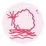 01-mayotte